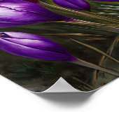 Poster d'impression de l'art de fleurs de crocus v (Coin)