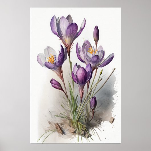 Poster d'impression de l'art de fleurs de crocus v (Devant)