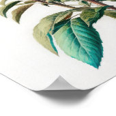 Poster d'impression de l'art de la fleur d'abeille (Coin)