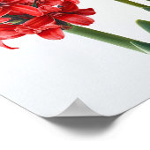 Poster d'impression de l'art de la fleur Red Hyaci (Coin)