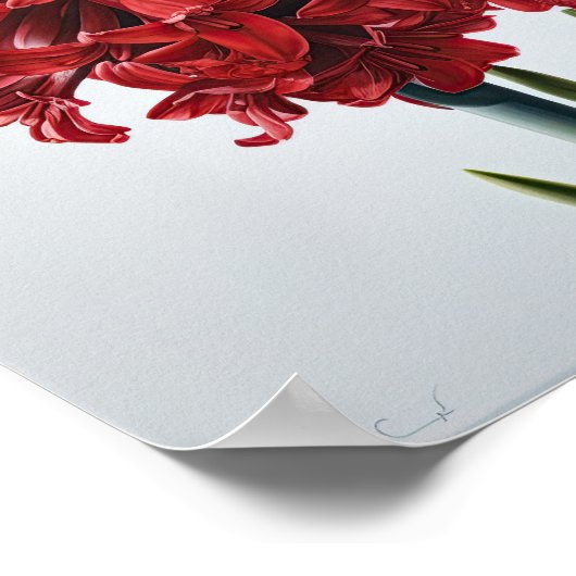 Poster d'impression de l'art de la fleur Red Hyaci (Coin)