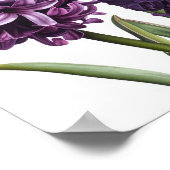 Poster d'impression de l'art de la floraison viole (Coin)