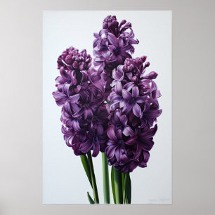 Poster d'impression de l'art de la floraison viole