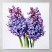 Poster d'impression de l'art de la floraison viole (Devant)