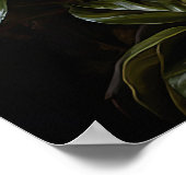 Poster d'impression de l'art de la Gardenia blanch (Coin)