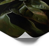 Poster d'impression de l'art de la Gardenia blanch (Coin)