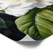 Poster d'impression de l'art de la Gardenia blanch (Coin)