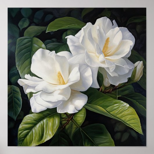Poster d'impression de l'art de la Gardenia blanch (Devant)