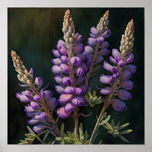 Poster d'impression de l'art de la lupine violette