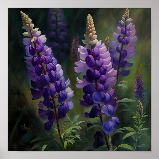 Poster d'impression de l'art de la lupine violette (Devant)