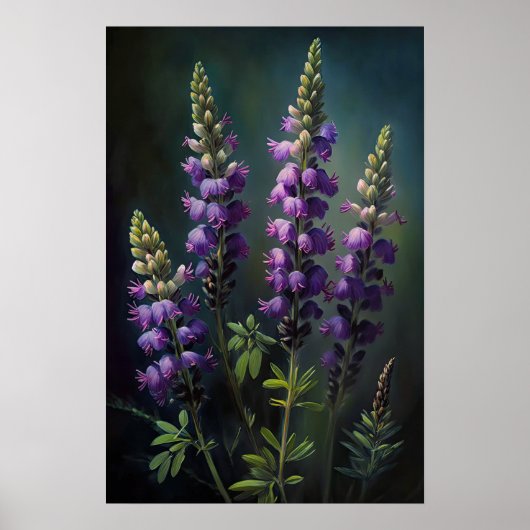 Poster d'impression de l'art de la lupine violette (Devant)