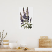 Poster d'impression de l'art de la lupine violette (Cuisine)