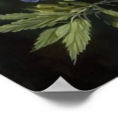 Poster d'impression de l'art de la lupine violette (Coin)