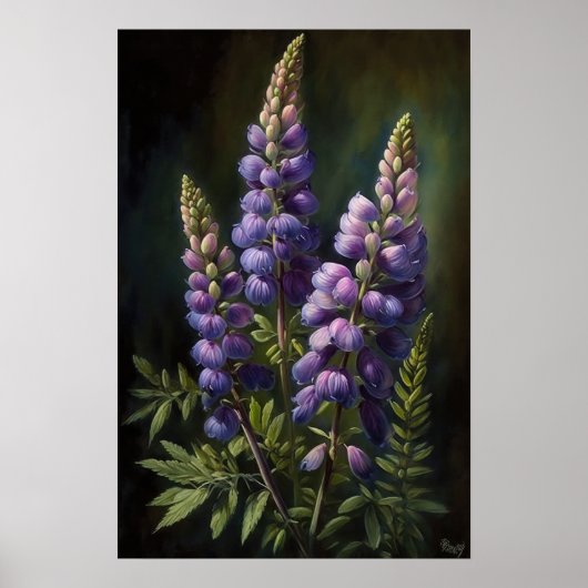 Poster d'impression de l'art de la lupine violette (Devant)