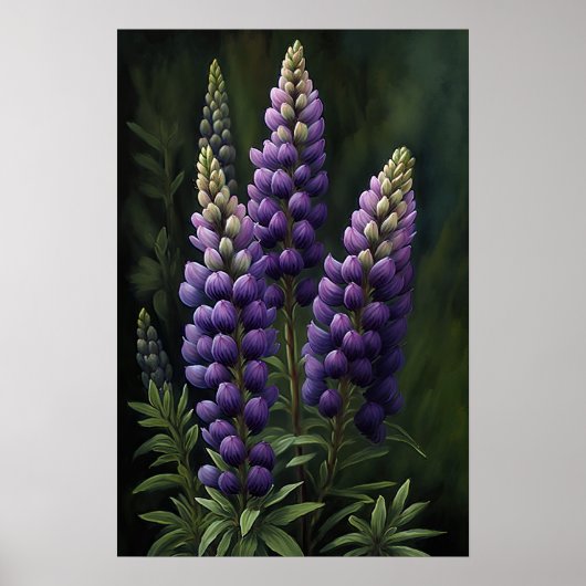 Poster d'impression de l'art de la lupine violette (Devant)