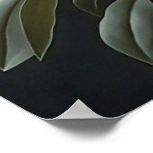 Poster d'impression de l'art de la vanille blanche (Coin)