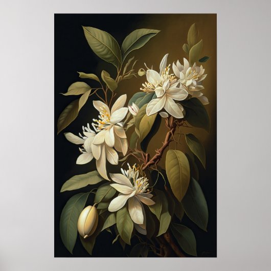 Poster d'impression de l'art de la vanille blanche (Devant)