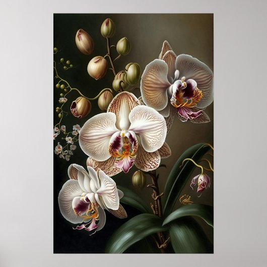Poster d'impression de l'art de l'orchidée blanche (Devant)