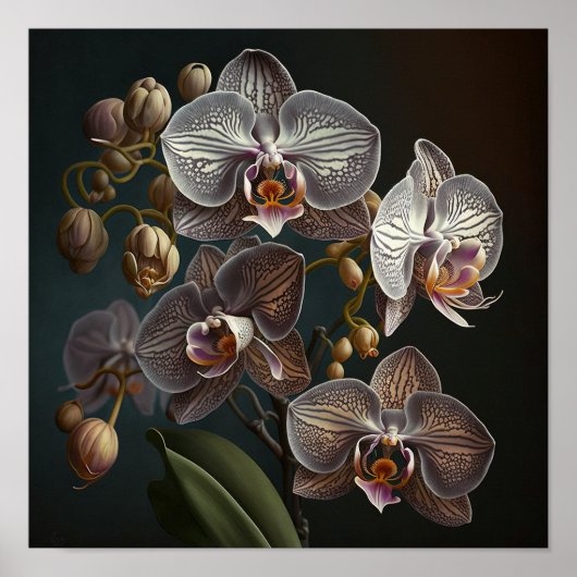 Poster d'impression de l'art de l'orchidée blanche (Devant)