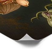 Poster d'impression de l'art de l'orchidée blanche (Coin)