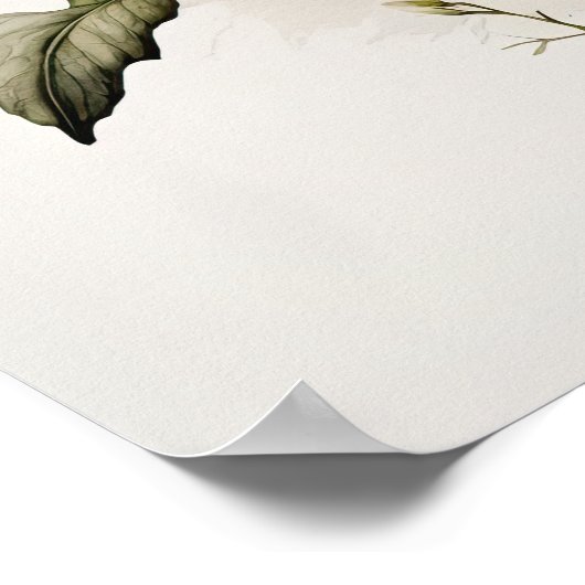 Poster d'impression de l'art de Primrose blanche (Coin)