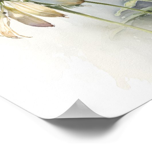 Poster d'impression de l'art des Confleurs blancs (Coin)