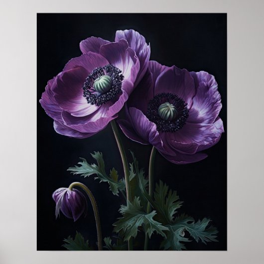 Poster d'impression de l'art des fleurs d'anémones (Devant)