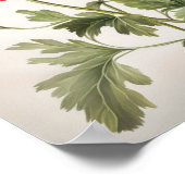 Poster d'impression de l'art des fleurs d'anémones (Coin)