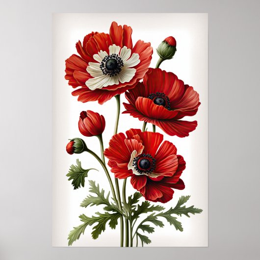 Poster d'impression de l'art des fleurs d'anémones (Devant)
