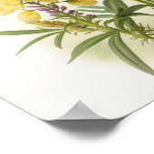 Poster d'impression de l'art des fleurs de lupine  (Coin)