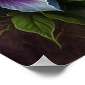 Poster d'impression de l'art des fleurs de mauve-p (Coin)