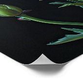 Poster d'impression de l'art des fleurs des oeille (Coin)