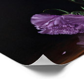 Poster d'impression de l'art des fleurs d'oeillets (Coin)