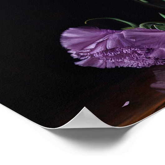 Poster d'impression de l'art des fleurs d'oeillets (Coin)