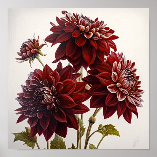 Poster d'impression de l'art des fleurs Red Dahlia (Devant)