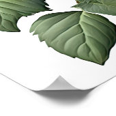 Poster d'impression de l'art des fleurs Red Dahlia (Coin)