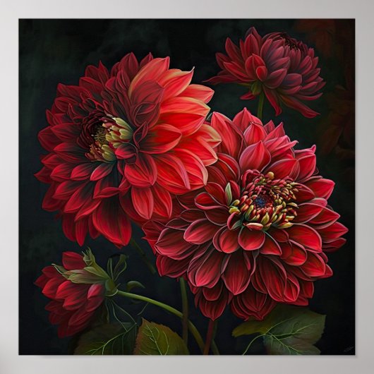 Poster d'impression de l'art des fleurs Red Dahlia (Devant)