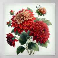 Poster d'impression de l'art des fleurs Red Dahlia