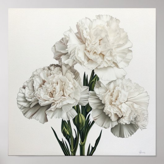 Poster d'impression de l'art des oeillets blancs (Devant)