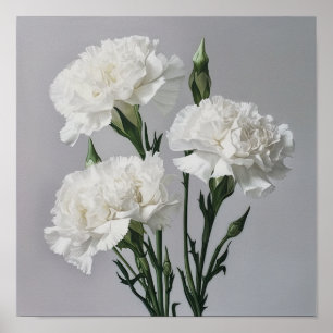 Poster d'impression de l'art des oeillets blancs