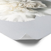 Poster d'impression de l'art des oeillets blancs (Coin)
