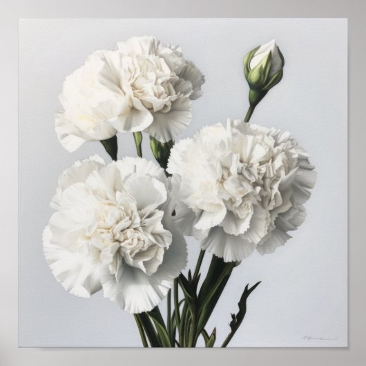 Poster d'impression de l'art des oeillets blancs (Devant)