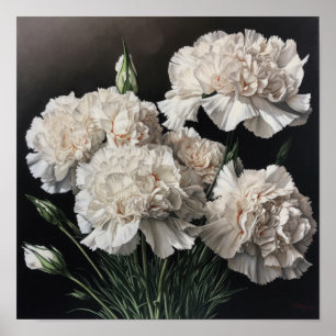 Poster d'impression de l'art des oeillets blancs