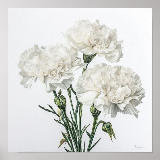 Poster d'impression de l'art des oeillets blancs (Devant)