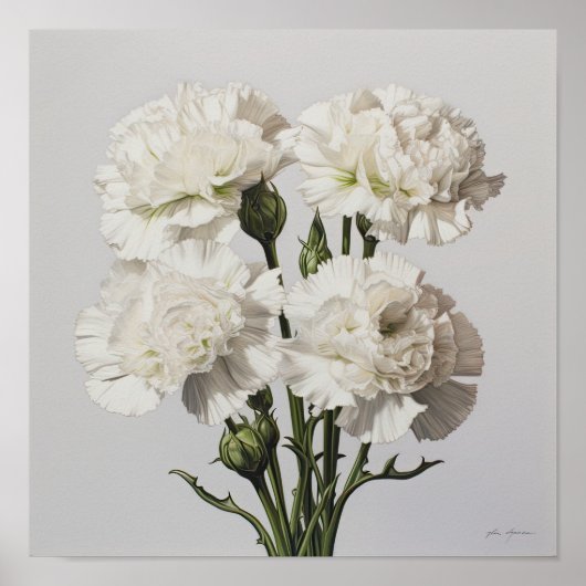 Poster d'impression de l'art des oeillets blancs (Devant)