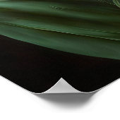 Poster d'impression de l'Art des Tulipes Rouges (Coin)