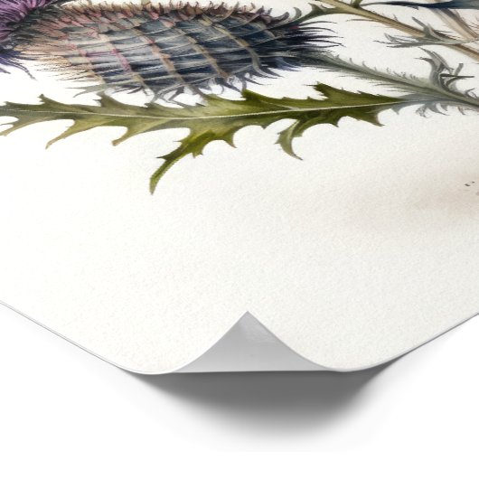Poster d'impression de l'art du chardon violet (Coin)