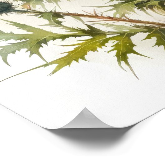 Poster d'impression de l'art du chardon violet (Coin)