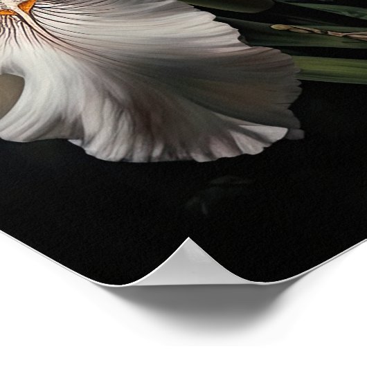 Poster d'impression de l'art en Iris blanc (Coin)