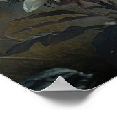 Poster d'impression de l'Art Fleur Edelweiss blanc (Coin)